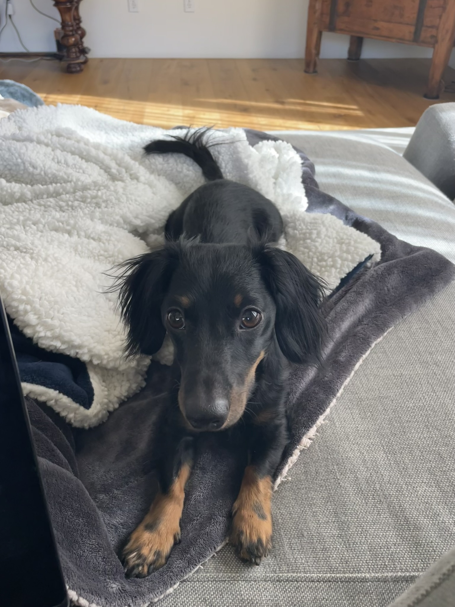 Midas with clothes on